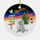 Pesquisar por maltês natal ornamentos Cães