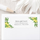 Pesquisar por italiano etiquetas endereco retorno Verde