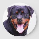 Pesquisar por rottweiler pósteres Adorável