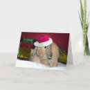 Pesquisar por lop cartoes Bunny