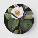 Pesquisar por camélias brancas artes pósteres Japonica da camélia