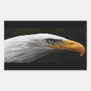Pesquisar por águia ouro adesivos Raptor
