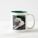 Pesquisar por do filhote cachorro canecas Horizontal