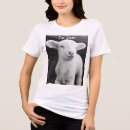 Pesquisar por dos carneiros camisetas Qualquer pessoa