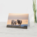 Pesquisar por cavalos selvagens mustang cartoes Fofo