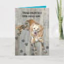 Pesquisar por proprietários cartoes Para pets