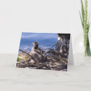 Pesquisar por calvo cartoes Águia