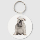Pesquisar por english chaveiros Buldogue