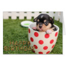 Pesquisar por doggy cartoes postais Filhote de cachorro