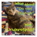 Pesquisar por gato pôsteres pósteres Qualquer crinaça