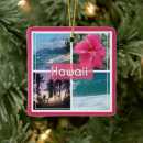 Pesquisar por hawaii ornamentos Oahu
