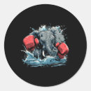 Pesquisar por kickboxing adesivos Jiu jitsu