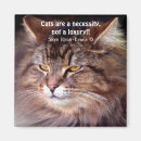 Pesquisar por bate papo imas Gatinhos