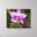 Pesquisar por orquídea impressão de canvas Natureza