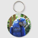 Pesquisar por macaw chaveiros Papagaio