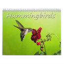 Pesquisar por colibri calendarios Fotografia