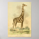 Pesquisar por áfrica fotografia Vintage