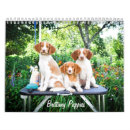 Pesquisar por filhotes de cachorro calendarios Adorável
