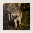 Pesquisar por madeira lobo quebra cabecas Para todos