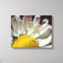 Pesquisar por flores bonito impressão de canvas Brilhante
