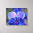 Pesquisar por orquídea azul impressão de canvas Rosa