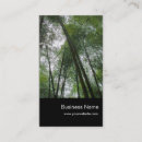 Pesquisar por bambus cartao de visita Natureza