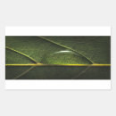 Pesquisar por veia adesivos Natureza