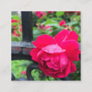 Pesquisar por garden cartao de visita Natureza