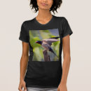 Pesquisar por andorinha camisetas Fotografia