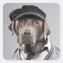 Pesquisar por camisola adesivos Animal