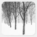 Pesquisar por tempo frio adesivos Natureza