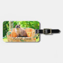 Pesquisar por felino bagagem tags Laranja