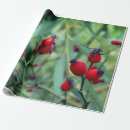 Pesquisar por emblema papel de presente Rosa