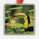 Pesquisar por tucano ornamentos Animal