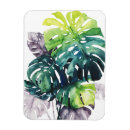 Pesquisar por palmas imas Litoral