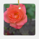 Pesquisar por coral ornamentos Rosa