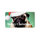 Pesquisar por do pug etiquetas Fofo
