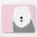 Pesquisar por sheepdog inglês Animais de estimação