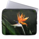 Pesquisar por flor tropical capas Qualquer pessoa