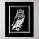 Pesquisar por coruja branca preta pôsteres pósteres Corujas