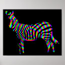 Pesquisar por rainbow zebra pôsteres pósteres Zebras