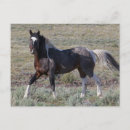 Pesquisar por ken cartoes postais Cavalo