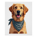 Pesquisar por golden retriever engraçado pôsteres pósteres Animal