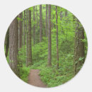 Pesquisar por douglas adesivos Verde