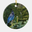 Pesquisar por jay ornamentos Vida selvagem