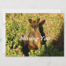 Pesquisar por marsupiais cartoes Qualquer pessoa