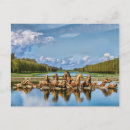 Pesquisar por estátua do jardim cartoes postais Paisagem