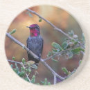 Pesquisar por hummingbird porta copos Natureza