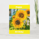 Pesquisar por da nora aniversáaio cartoes Fotografia