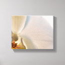 Pesquisar por orquídea impressão de canvas Elegante